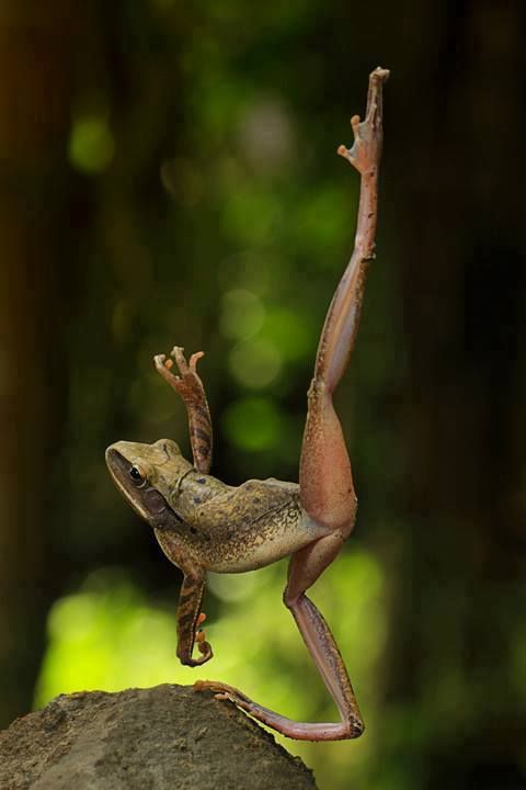 Danny Dravot tweet media