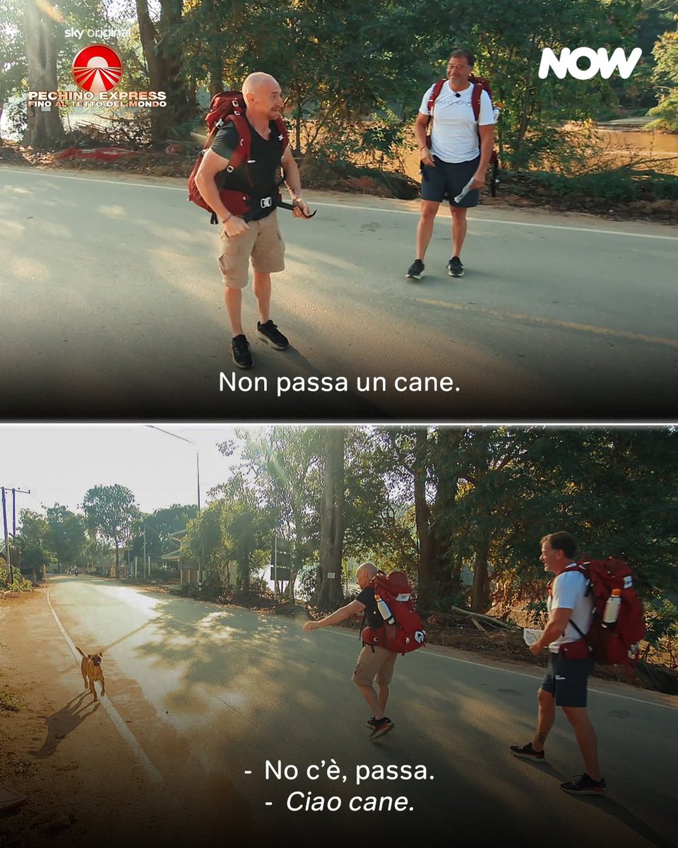 Ma ricordiamo gli ultimi vincitori nel [loro] mio momento preferito
#PECHINOEXPRESS