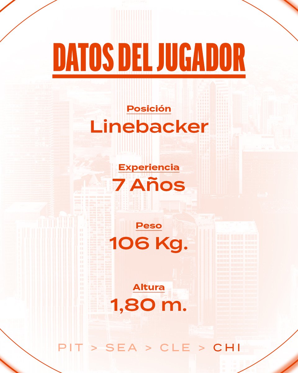 Chicago Bears en España tweet media