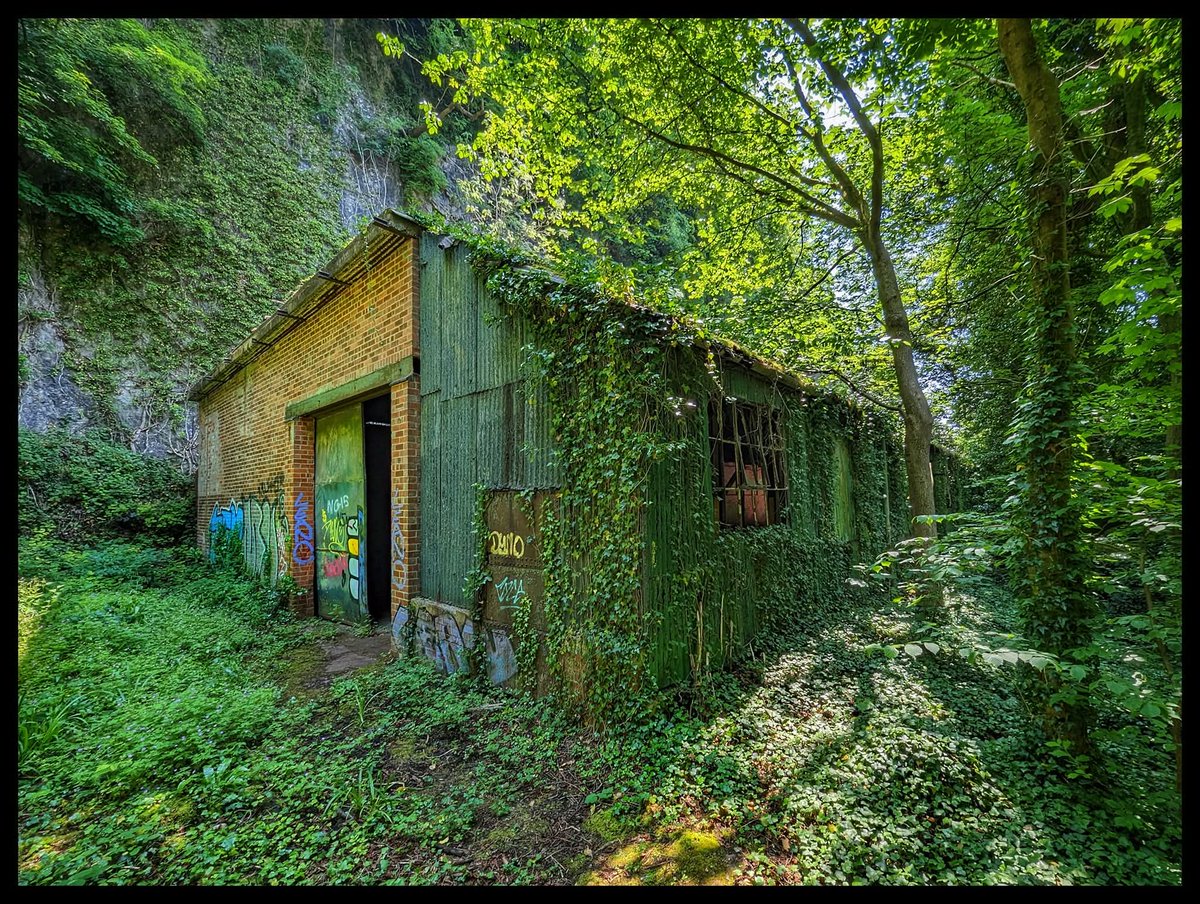 Peak Wanderer tweet media