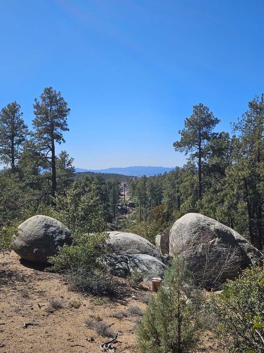 McreaEdna's tweet photo. No desert in Prescott, Arizona🌲 https://t.co/SzjFiv8gc3