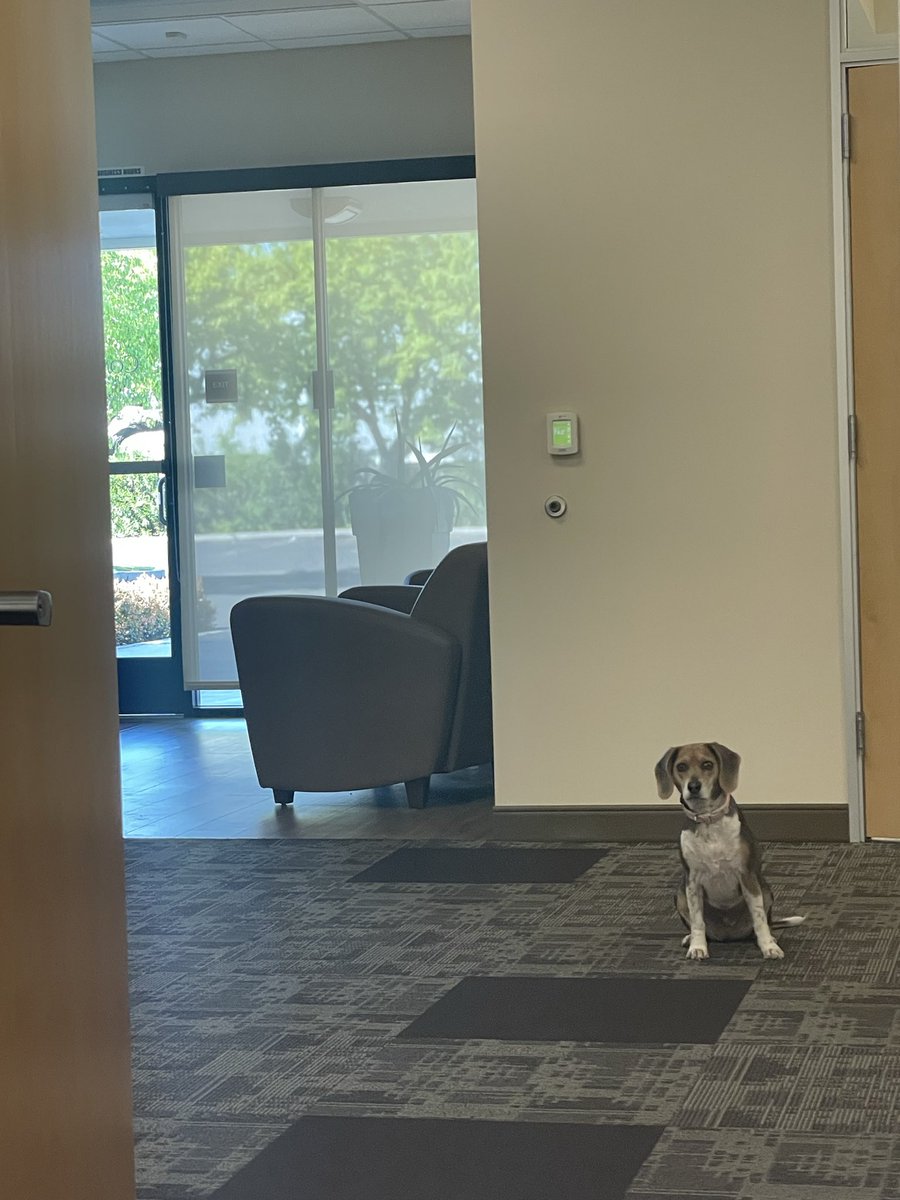 Maggie May and Angel Sisfur 😇 Lucy Lu 🌈💔 tweet media