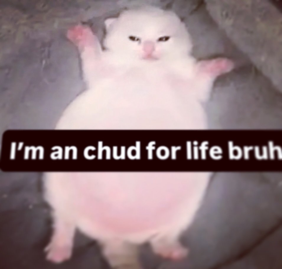 🐁Phobos 🏳️‍⚧️ tweet media