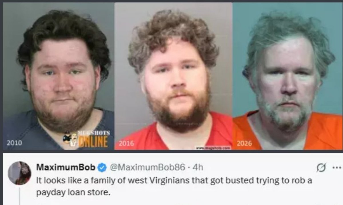 Misery Loves Clips™ tweet media