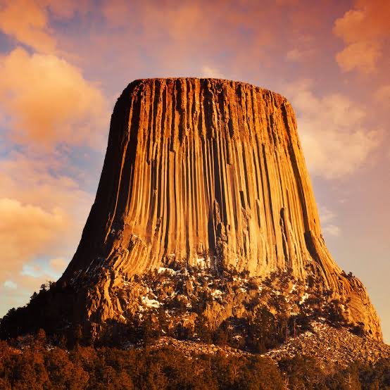 Jacktogon tweet media