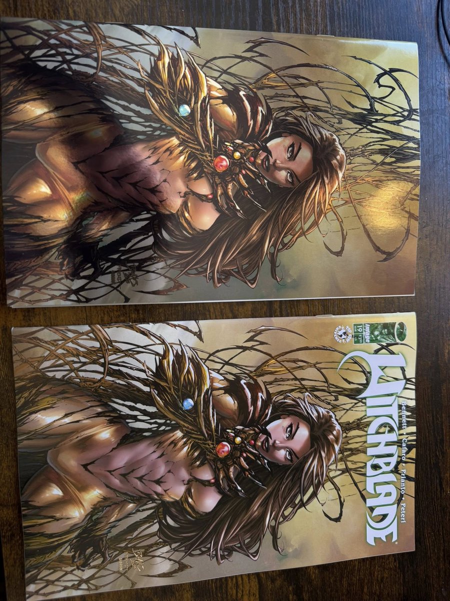 TopCow's tweet image. It’s so shiny and gold! ✨ 🪩✨🪩  

This week’s Witchblade 19 has a special virgin-heavy card-stock cover with a spot foil treatment all over! Gorgeous Ed Benes cover in crazy limited quantity. 
thetopcowstore.com/products/wit... 

#witchblade #imagecomics #edbenes