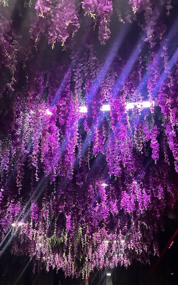 Landon’s Archive tweet media