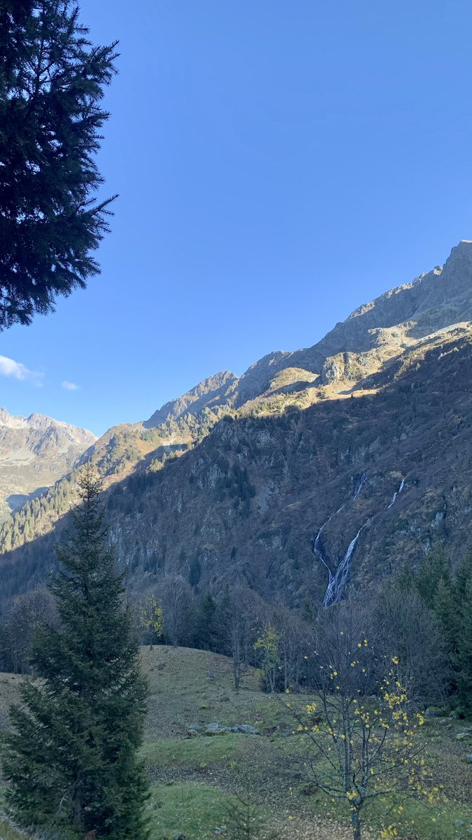 N’🦎 tweet media