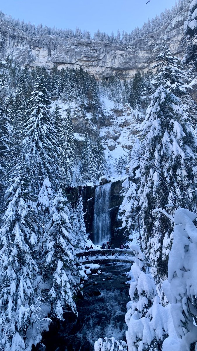 N’🦎 tweet media