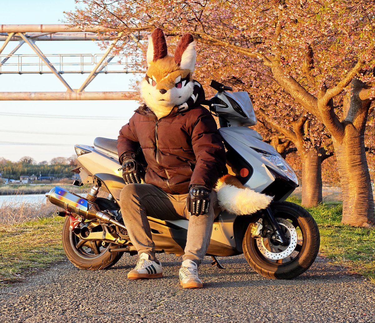 スズ🔰/フェル🔜？ tweet media