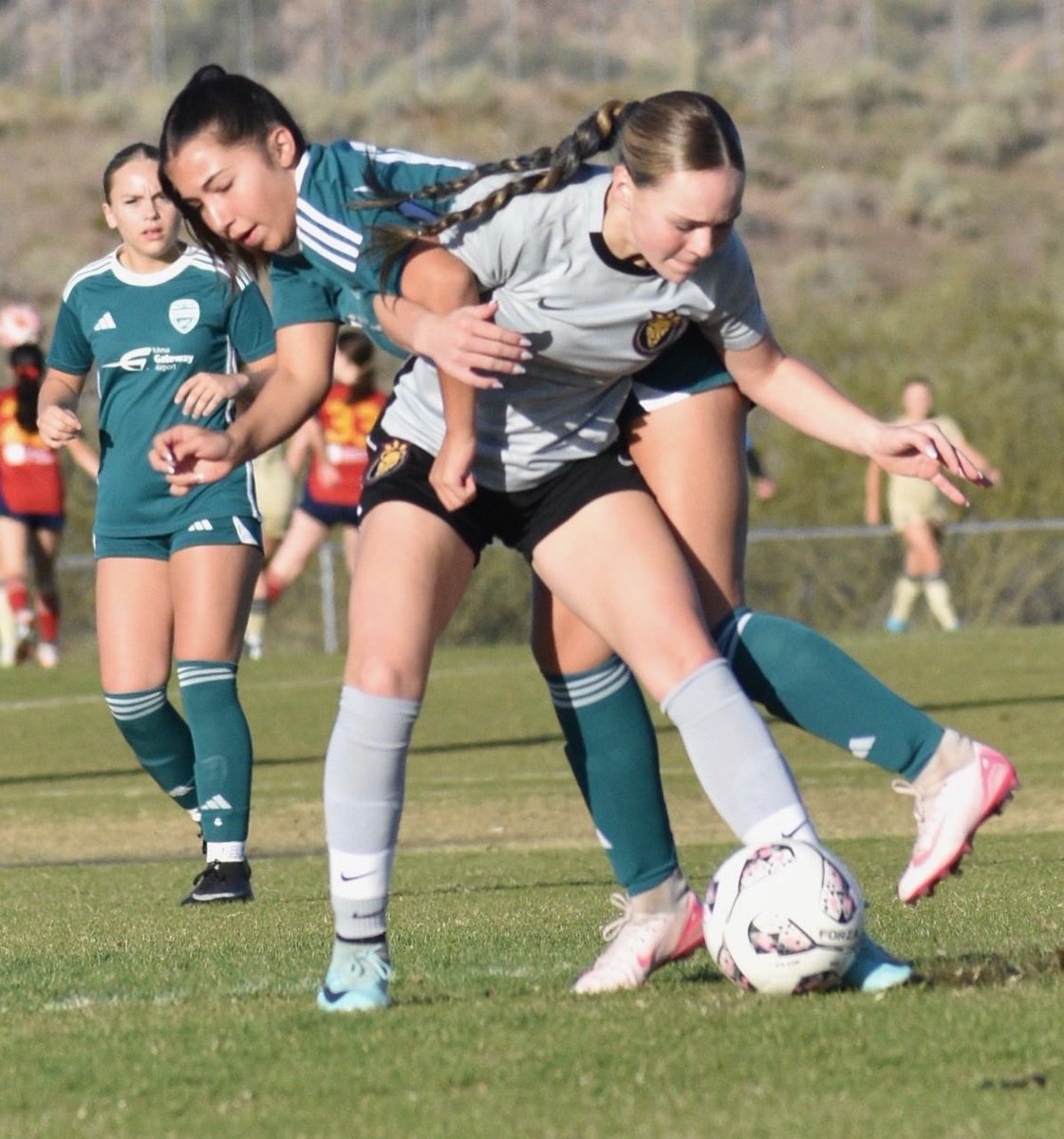 Tommy Ziegler tweet media