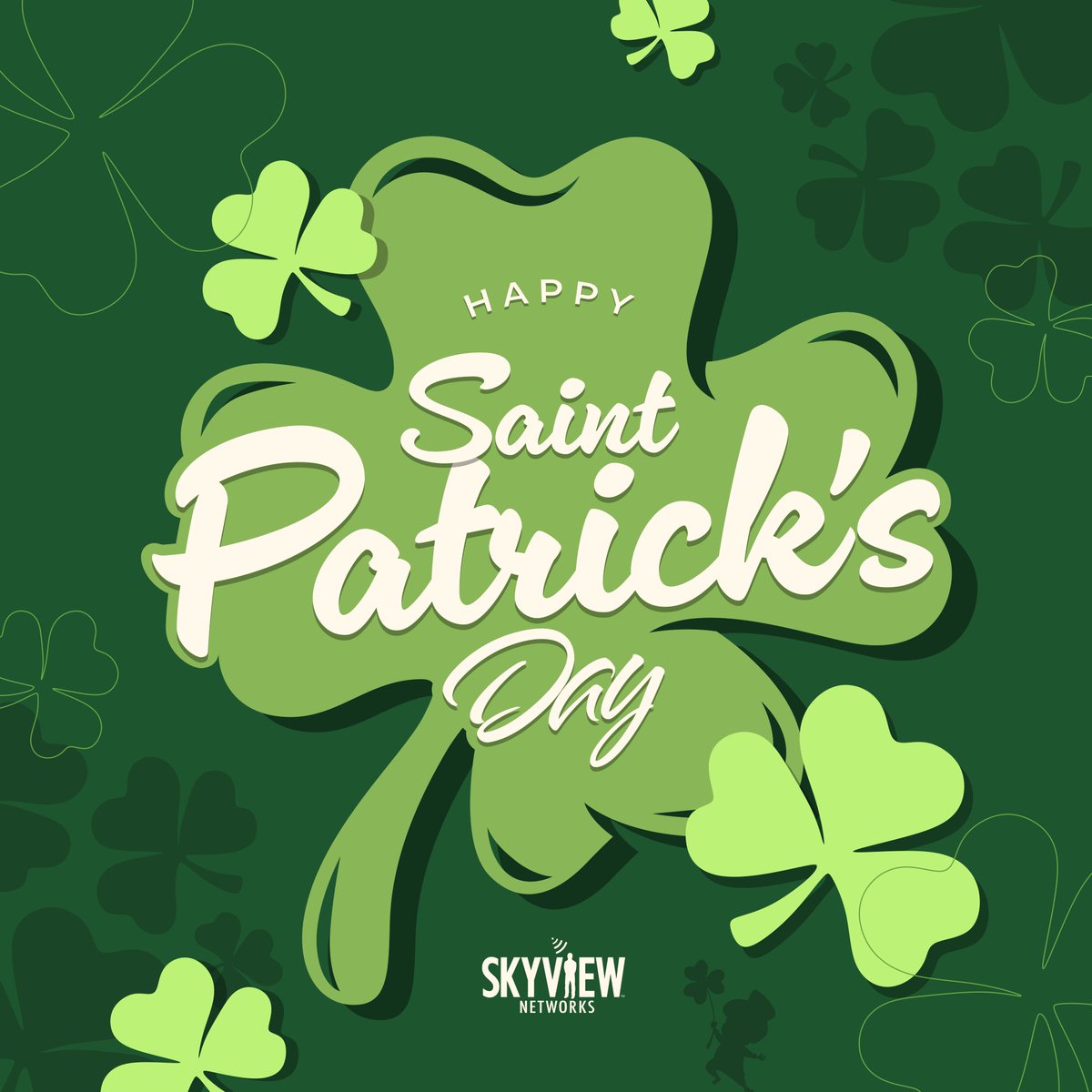 Skyview Networks tweet media