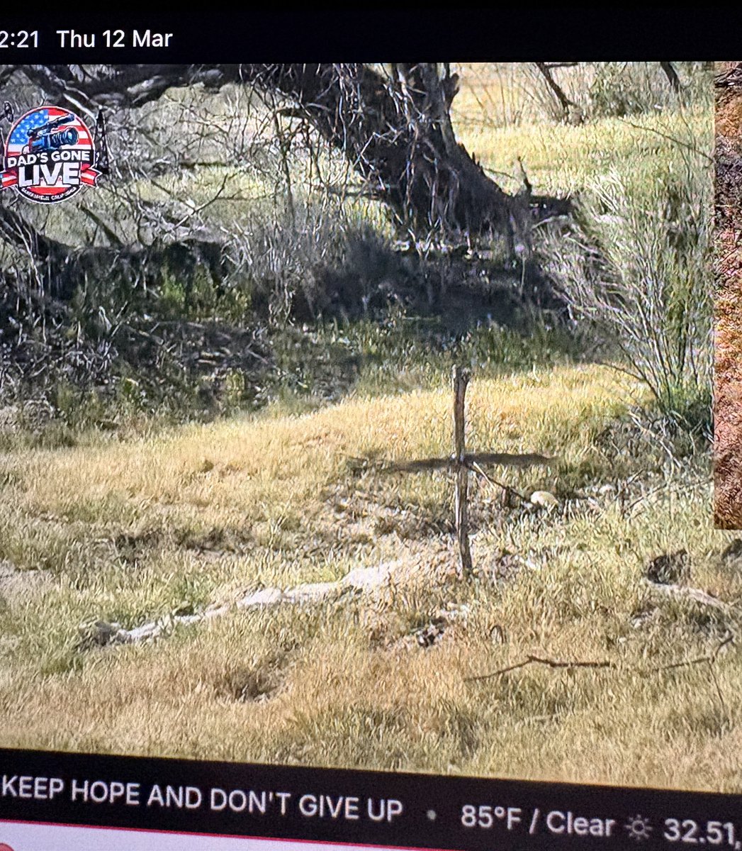 StaceyFTC's tweet photo. Dad’s Gone Live on YouTube found a grave with a white sheet and a cross made of sticks and zip ties! 😱 could this be related to Nancy Guthrie or maybe an animal buried https://t.co/ghBXgV9WrJ