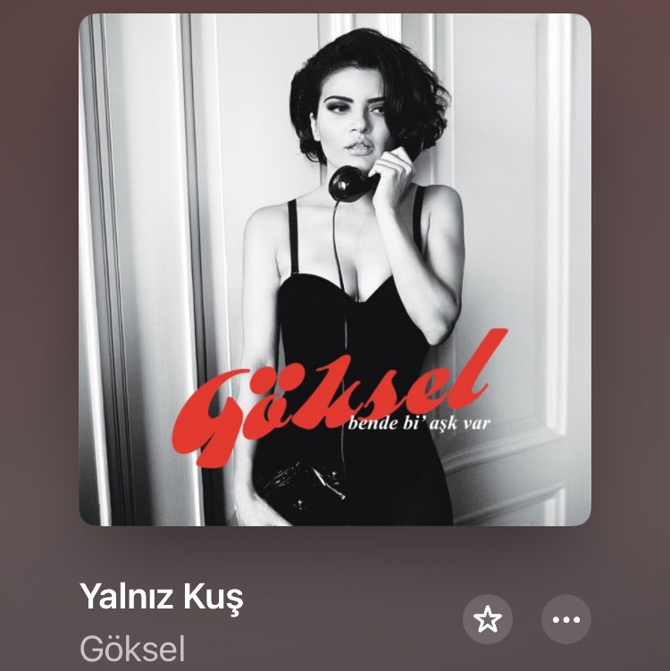 rich1000.bull tweet media