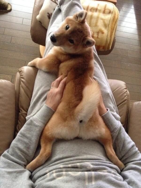 wafflestroodle's tweet photo. Jsjjriwjj jk tjwonflandownfm https://t.co/XnwzY3SLth