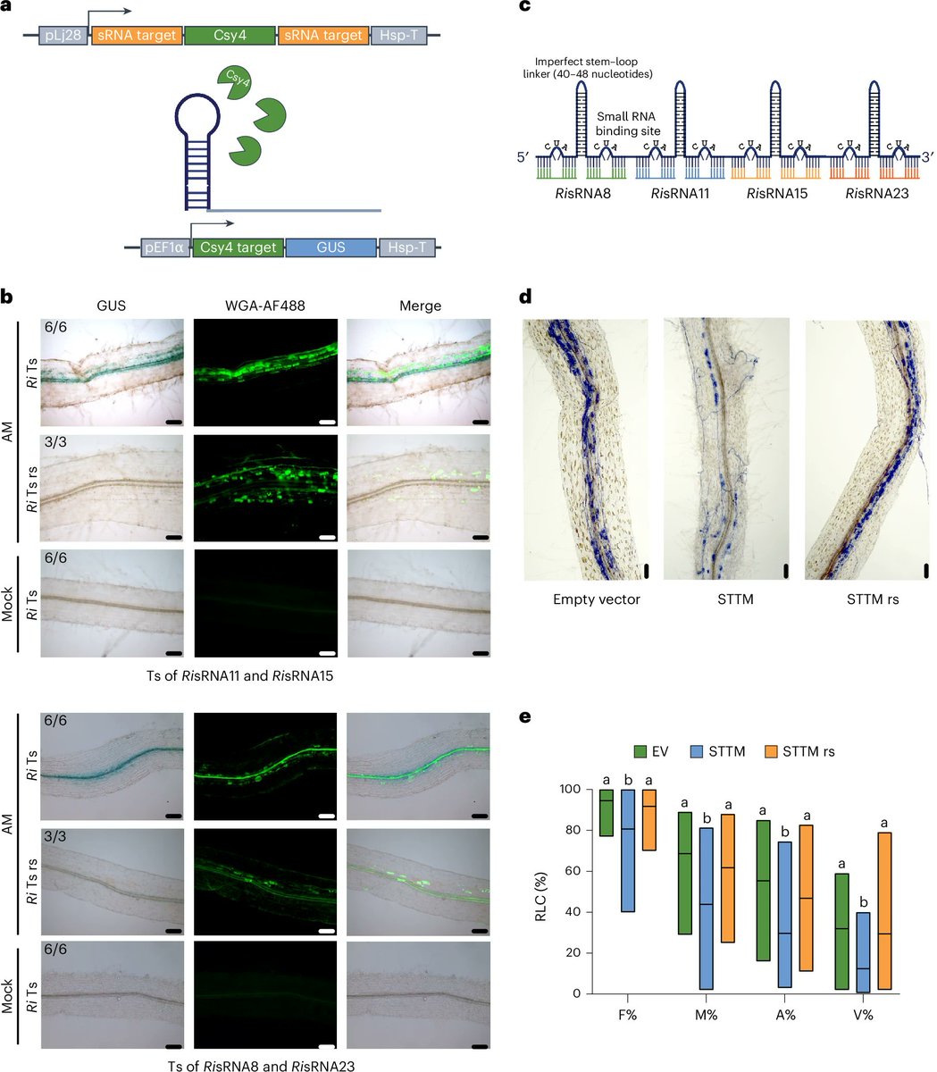 Nature Plants tweet media