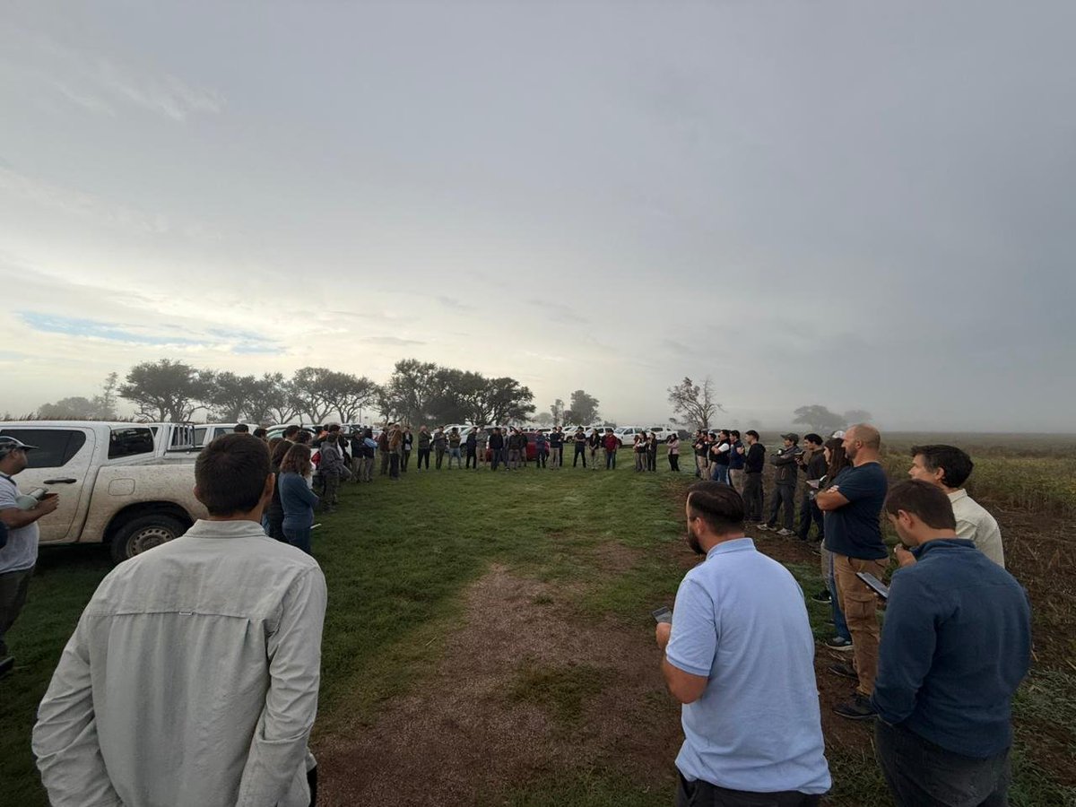 Jorge Mercau 🇦🇷 tweet media