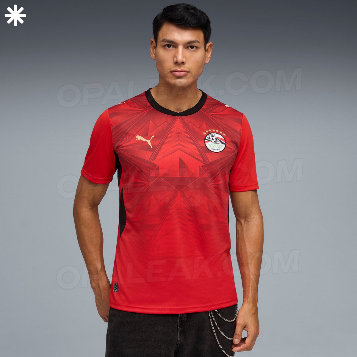 opaleak's tweet photo. 🇪🇬 OFFICIAL PICS - Egypt World Cup 26™ Set. https://t.co/BbdakwaZY6