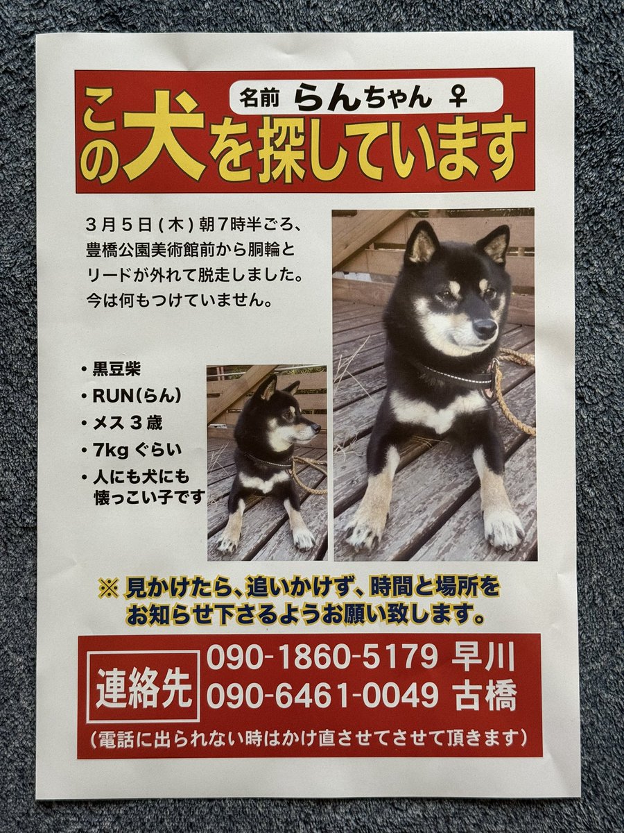 DAIFUKU20240628's tweet photo. 本日、新聞の折込広告に入っていました。
みなさんの情報がたよりになります。
ご協力をお願いいたしますに
#黒柴#迷い犬#迷子犬#豊橋#らんちゃん# https://t.co/jUgbTOcZnE