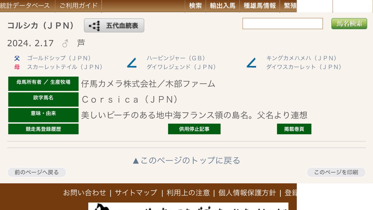 エリバ助手 tweet media