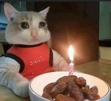 Falcon namine 🍉 tweet media