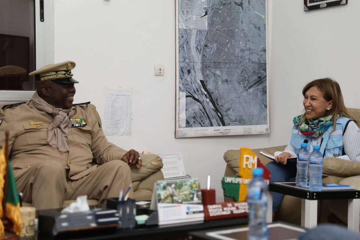 Hanaa Singer-Hamdy tweet media