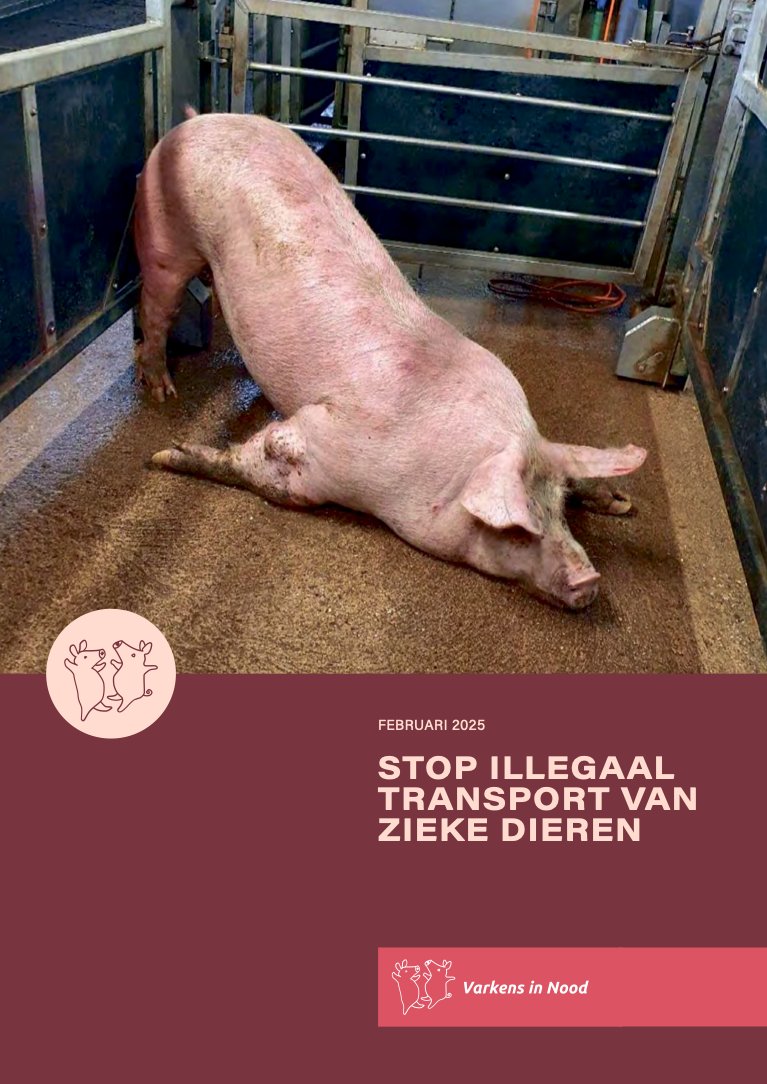 Dierencoalitie tweet media