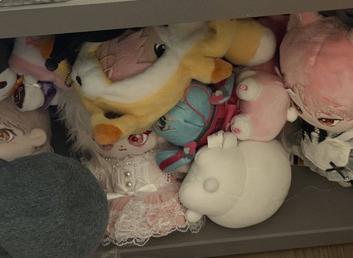 일라 놀이터 tweet media