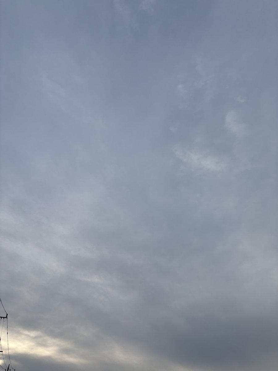 sumitch531's tweet photo. おはようございます！
1ヶ月があっという間

お花って人を元気にする力がありますね
今日もよい1日を＾＾
#イマソラ https://t.co/Dz0dQQWDx3
