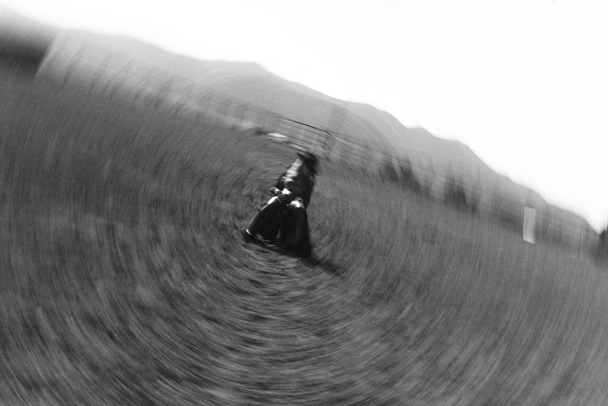 Lainey Wilson tweet media