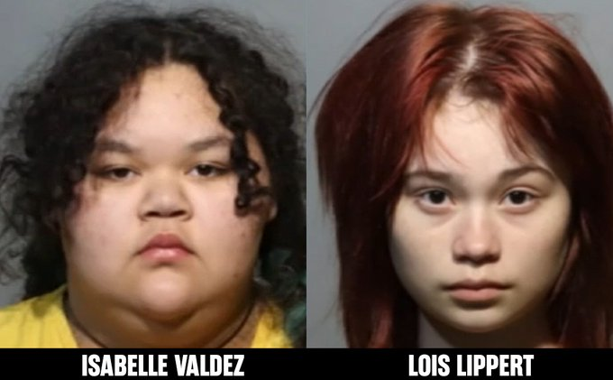 Libs of TikTok tweet media