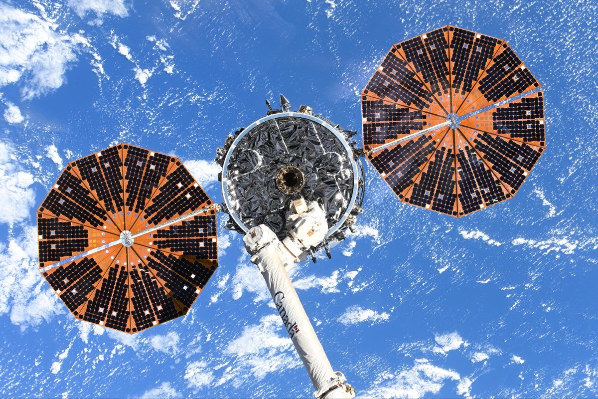 Jessica Meir tweet media