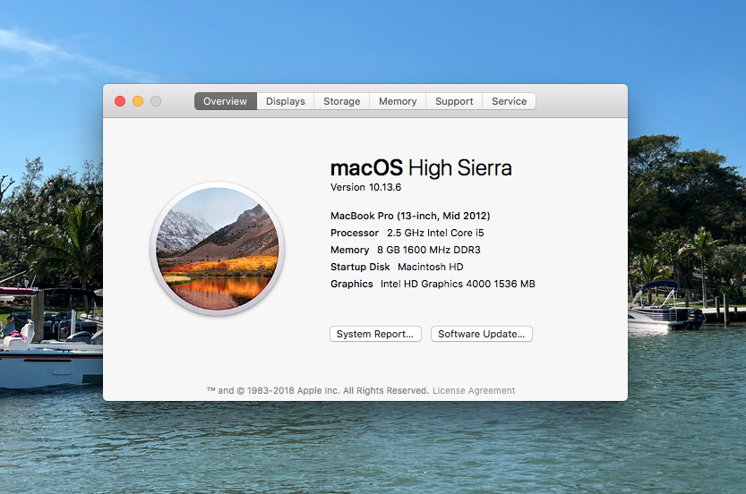 🎄🇺🇸Christmas Ruddy🇺🇸🎄 tweet media