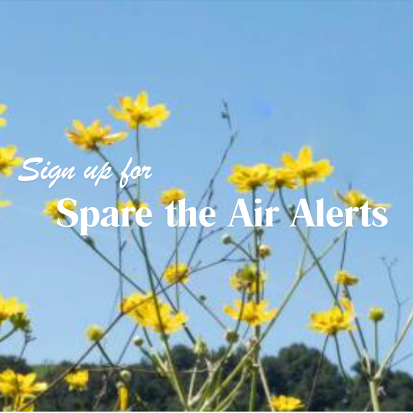 City of Sebastopol tweet media