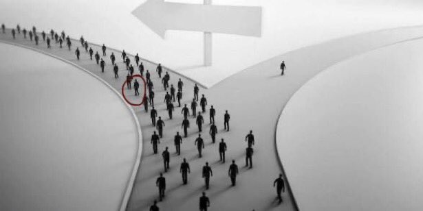 quinnie ᖭི༏ᖫ jimbo mazza enjoyer tweet media