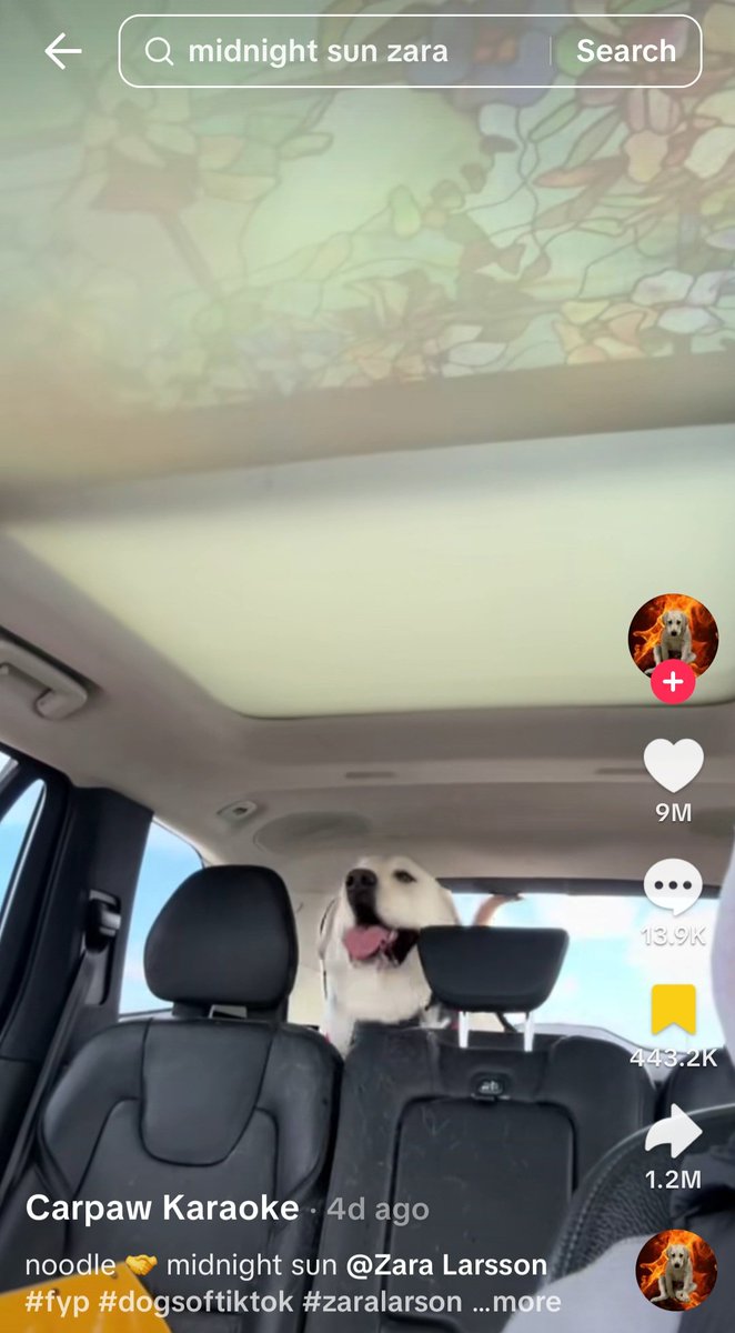 PAMDY 🧠 | Early Memecoin Patterns tweet media