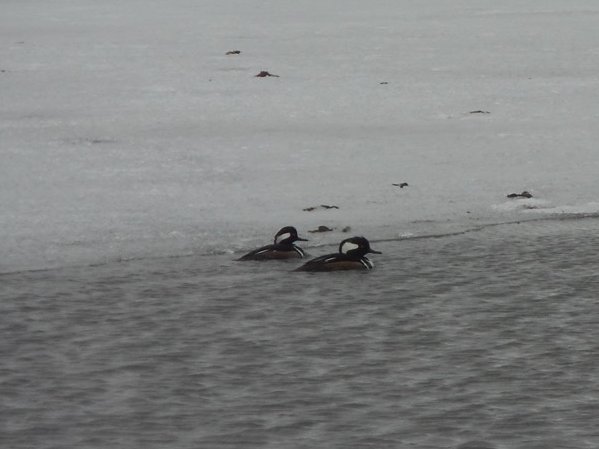 Michael Jacobs tweet media