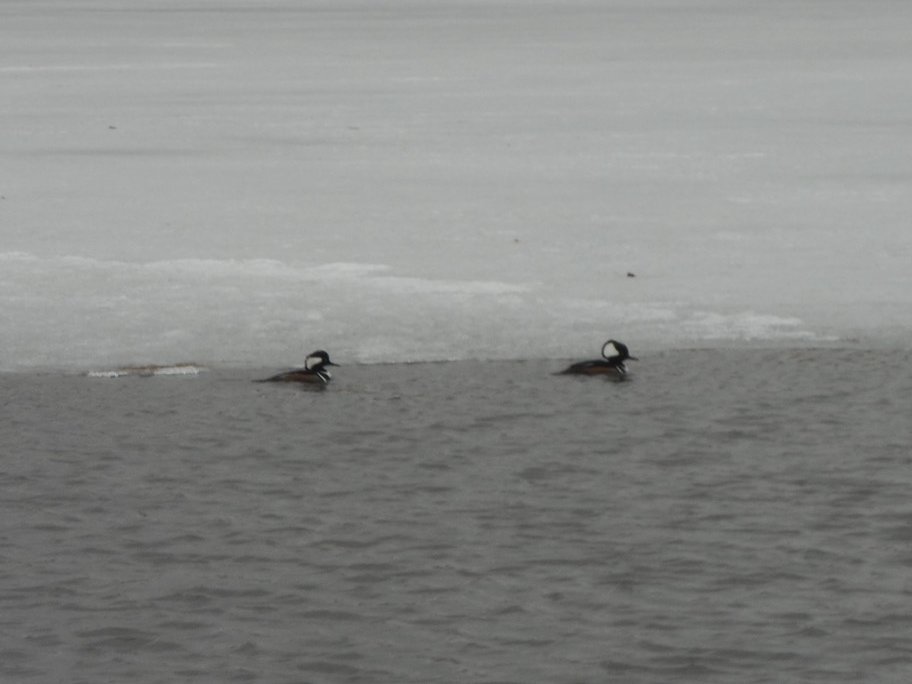 Michael Jacobs tweet media