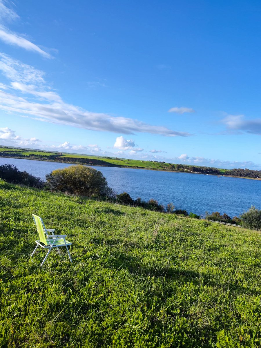 donz.exe 🇲🇦 tweet media