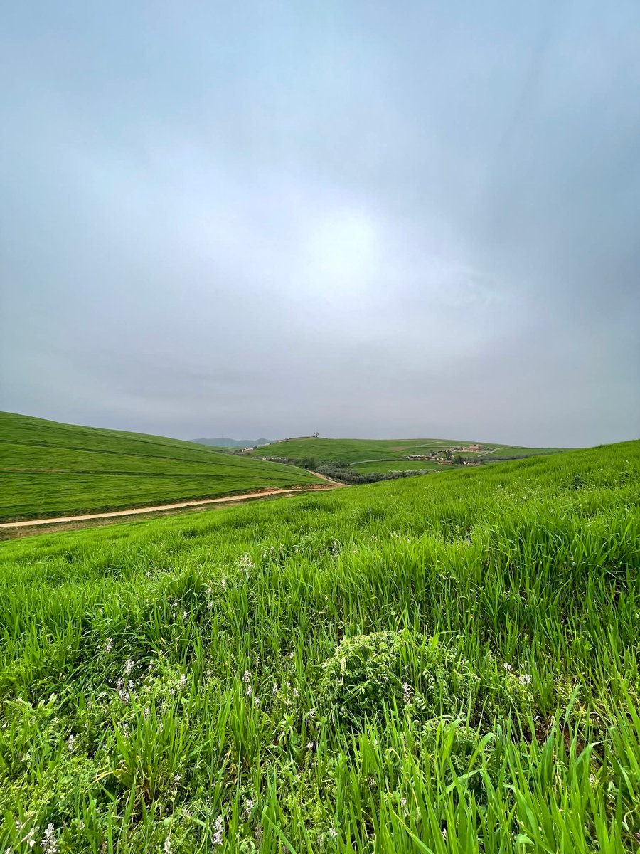 donz.exe 🇲🇦 tweet media