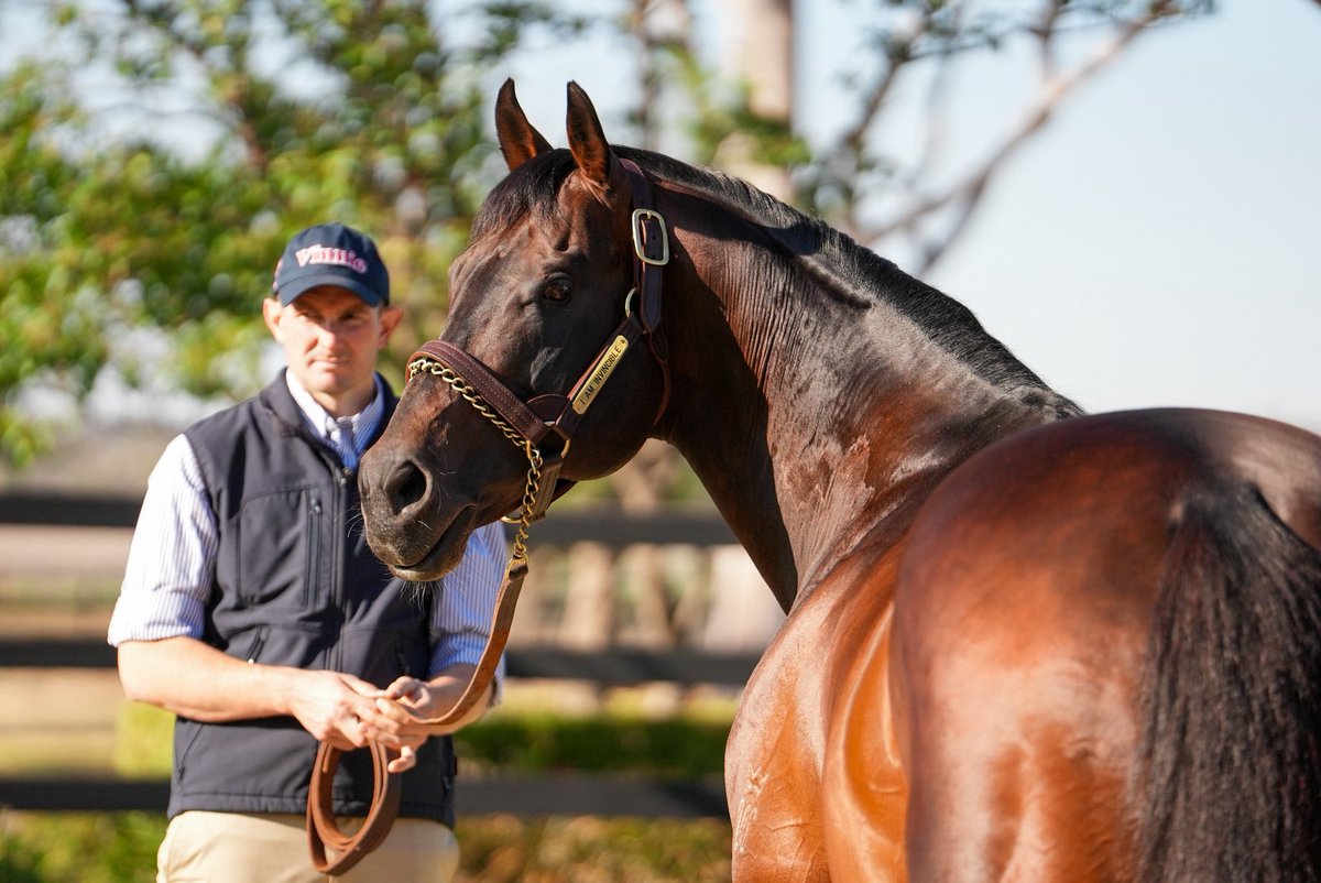 yarramanpark's tweet image. Wishing our stallion manager, Morts, a big happy birthday 🥳 

#IAmInvincible | #YarramanPark