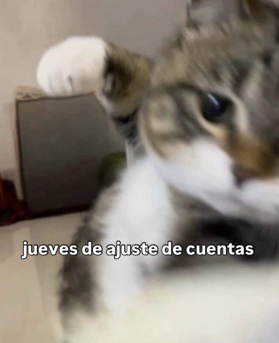 Pensamientos tweet media