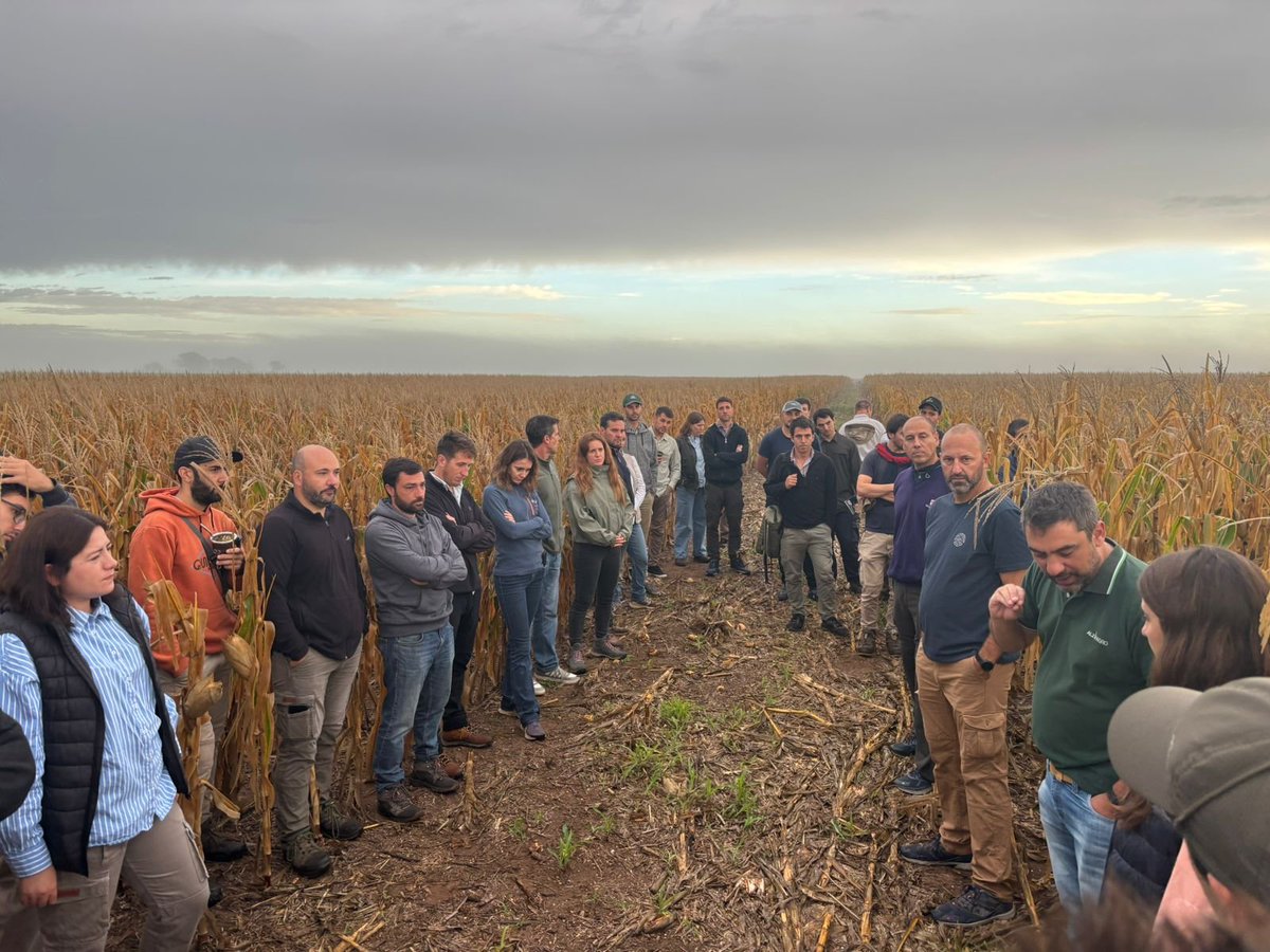 Jorge Mercau 🇦🇷 tweet media