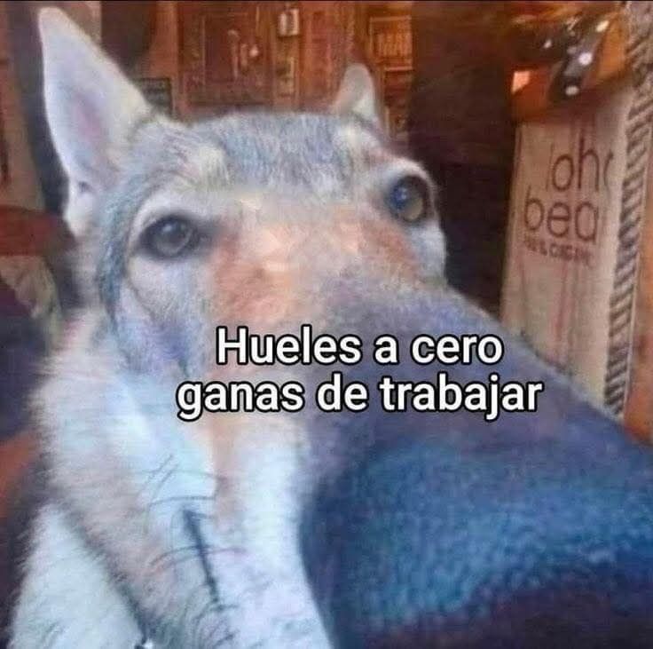 Pensamientos tweet media