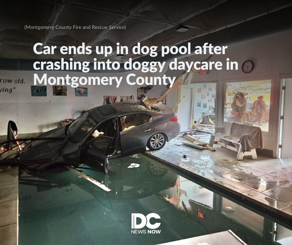 DC News Now tweet media