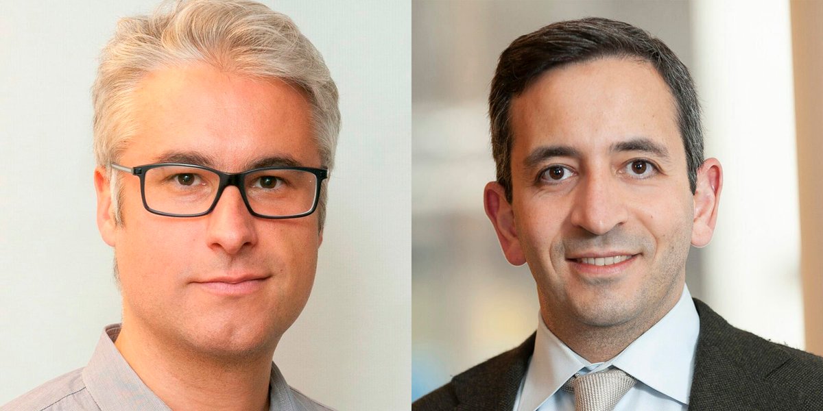 The Mark Foundation for Cancer Research tweet media