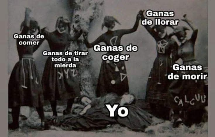 Pensamientos tweet media