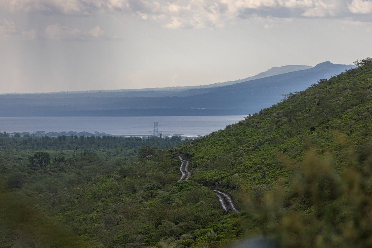 Mwangi Kirubi tweet media