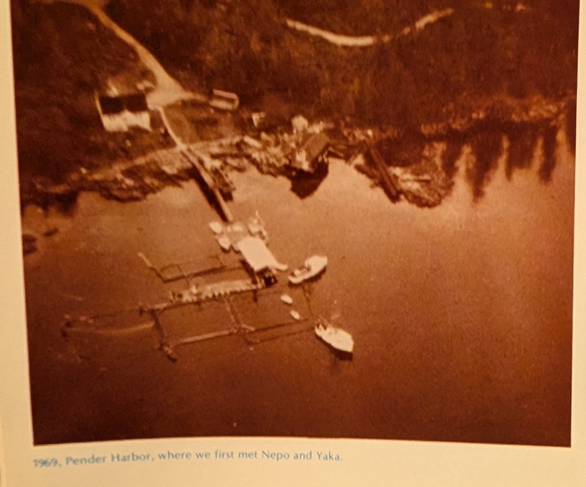 SumarSummers tweet media