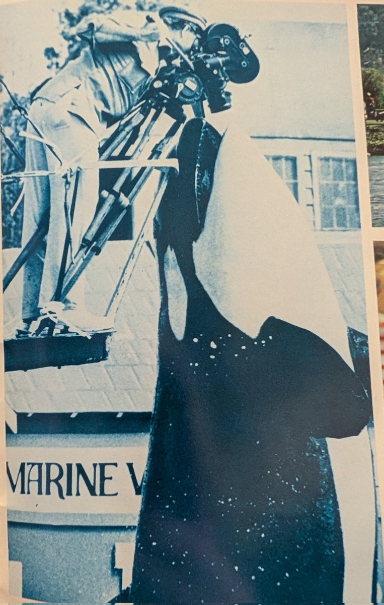 SumarSummers tweet media